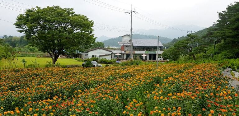 농장둘러보기
